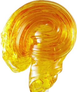 Cape York Amber